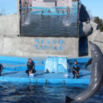San Clemente del Tuyú - 216