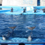 San Clemente del Tuyú - 217