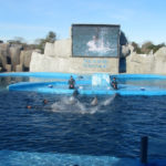 San Clemente del Tuyú - 221