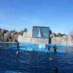 San Clemente del Tuyú - 222