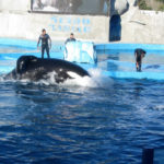 San Clemente del Tuyú - 226
