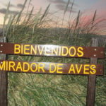 Punta Rasa
