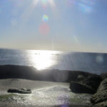 Puerto Madryn - 10