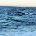 Puerto Madryn - 106