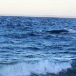 Puerto Madryn - 107