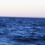Puerto Madryn - 109