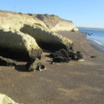Puerto Madryn - 11