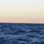 Puerto Madryn - 110