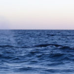 Puerto Madryn - 113