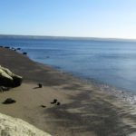 Puerto Madryn - 21