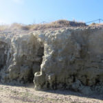 Puerto Madryn - 35