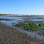 Puerto Madryn - 37