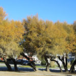 Puerto Madryn - 39
