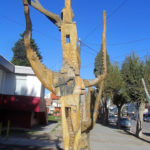 Puerto Madryn - 49