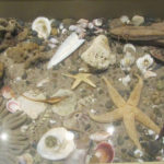 Puerto Madryn - 58