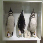 Puerto Madryn - 61