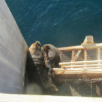 Puerto Madryn - 74
