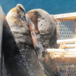 Puerto Madryn - 75