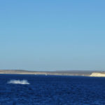 Puerto Madryn - 77