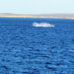 Puerto Madryn - 78