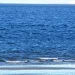 Puerto Madryn - 81
