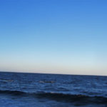 Puerto Madryn - 82