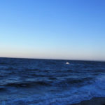 Puerto Madryn - 83