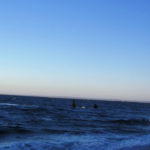 Puerto Madryn - 84