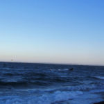 Puerto Madryn - 85