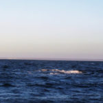 Puerto Madryn - 88