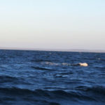 Puerto Madryn - 89
