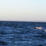Puerto Madryn - 91