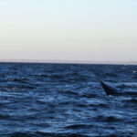 Puerto Madryn - 92