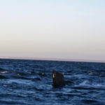 Puerto Madryn - 93