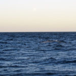 Puerto Madryn - 97
