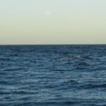 Puerto Madryn - 98