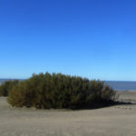 Viedma - 104