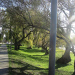 Viedma - 19