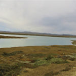 Puerto San Julián -08
