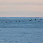 Punta Loyola