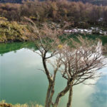 Laguna Verde