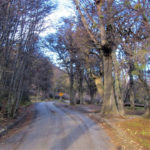 Sendero Hito XXIV