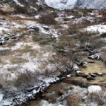 Laguna Esmeralda