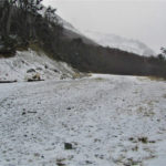 Glacial Martial