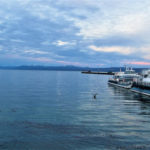 Canal Beagle