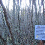 Parque Nacional Tierra del Fuego