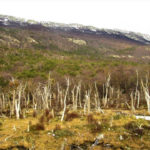 Parque Nacional Tierra del Fuego
