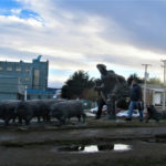 Monumento Al Ovejero