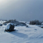 Glaciarium