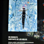 Glaciarium